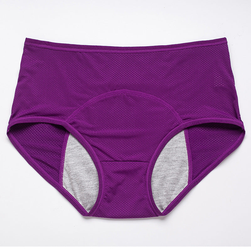 Rechol Leakproof Underwear - Libiyi