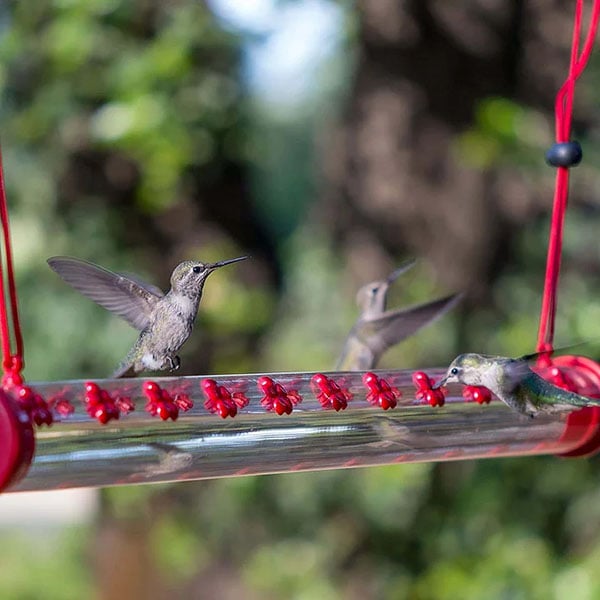 Flower Bar Hummingbird Feeder - Libiyi