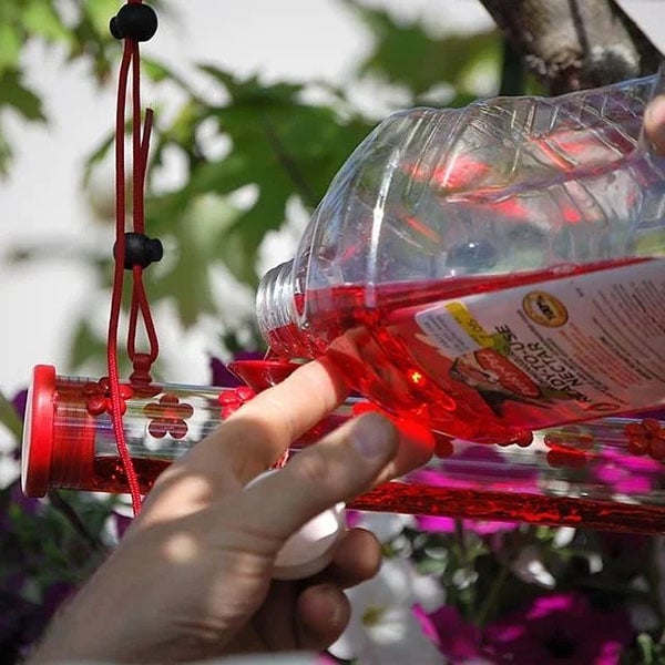 Flower Bar Hummingbird Feeder - Libiyi