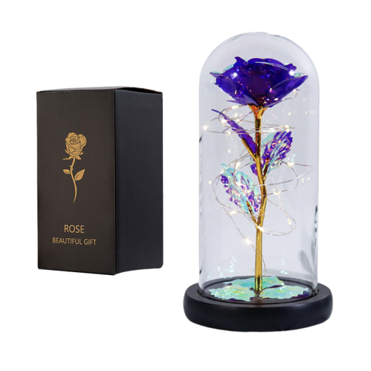 Fanyil Eternal Rose-fr - Libiyi