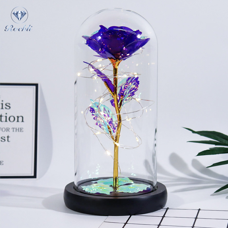 Fanyil Eternal Rose-fr - Libiyi