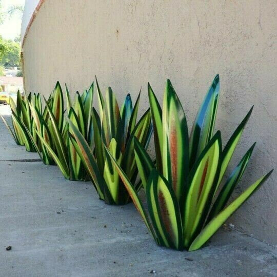 Anti-rust Metal Tequila Agave Plant - Libiyi