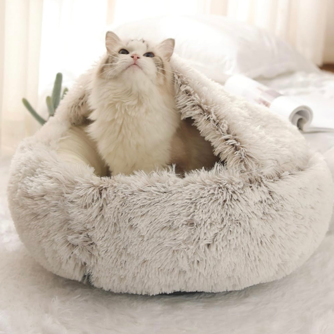 Libiyi CozyPaws - Libiyi
