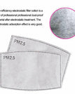 Filtro PM2.5 extra (1 pacote)
