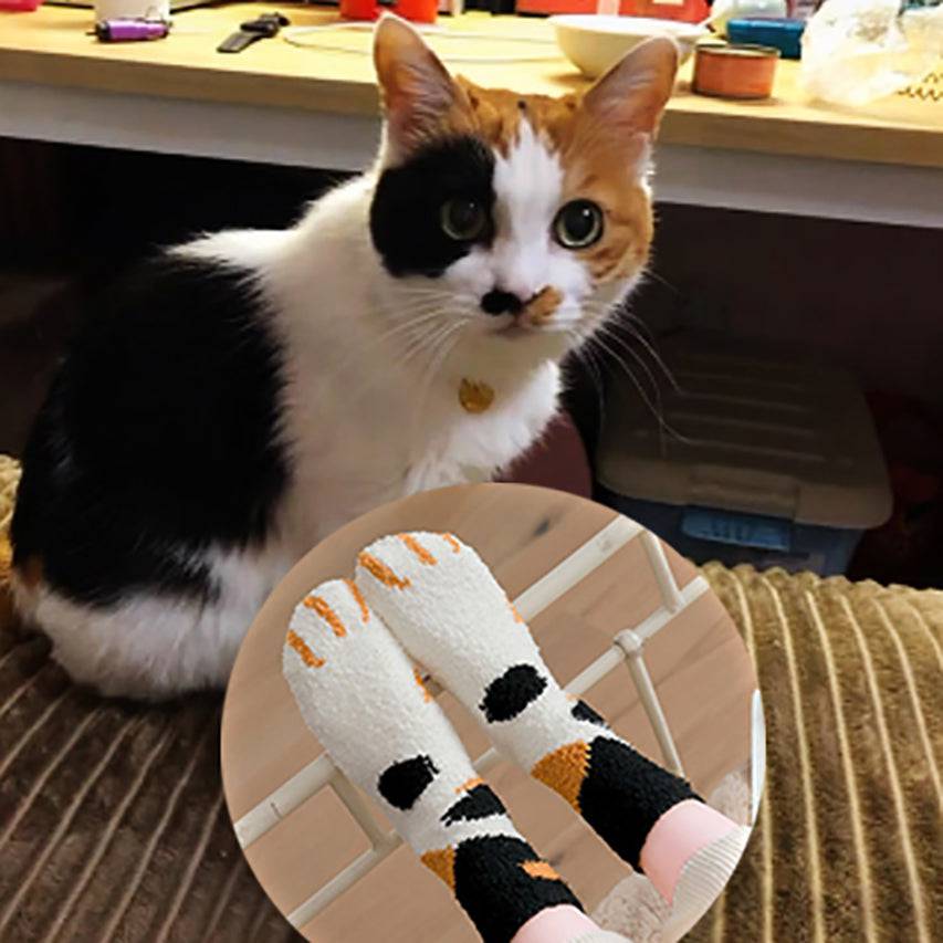 Cute Cat Claw Socks(BUY 6 GET FREE SHIPPING) - Libiyi