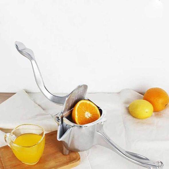Stainless Steel Juicer - Libiyi