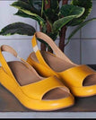Amarelo / EUA 5